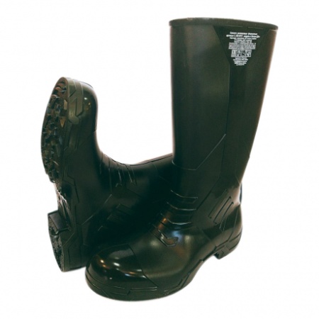 Купить Сапоги ЛЕГЕН-ДА С158/1 мет.1200Н резин. от 13100.00  тенге