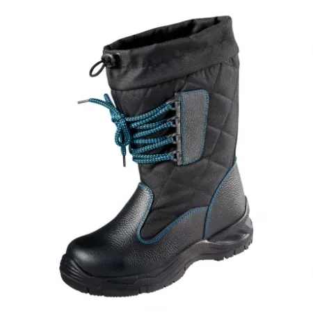 Купить Сапоги ФОРВЕЛД ЛЕДИ ГРАНД КПТ от 21588.00  тенге